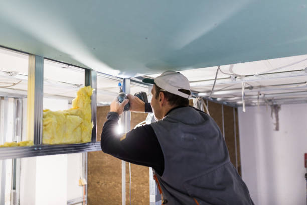 Best Soundproof Insulation  in Nikiski, AK